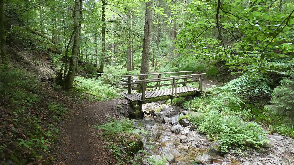 schluchtensteig