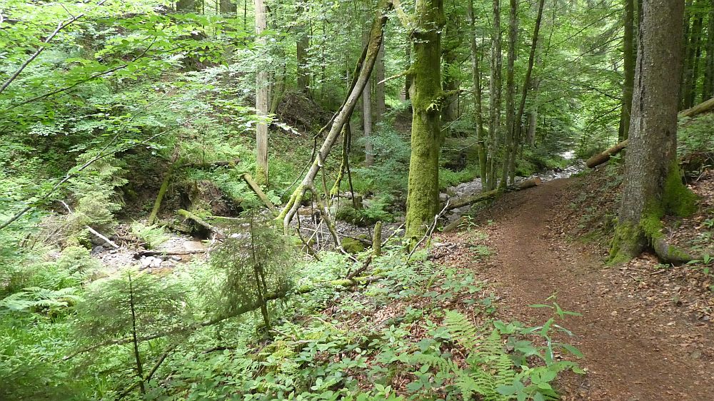 schluchtensteig