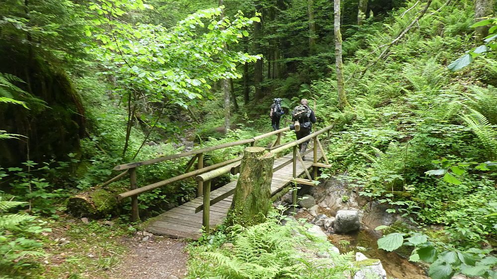 schluchtensteig