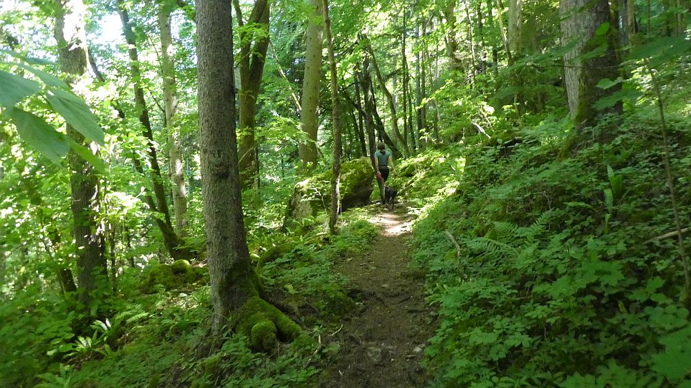 schluchtensteig