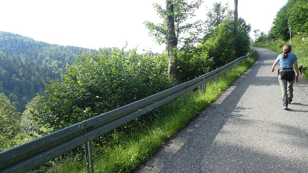 schluchtensteig