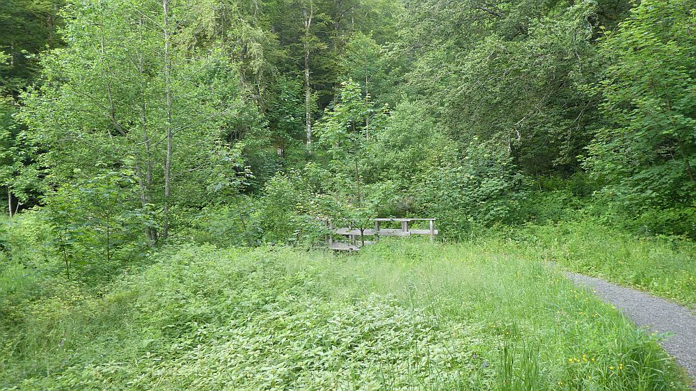 schluchtensteig