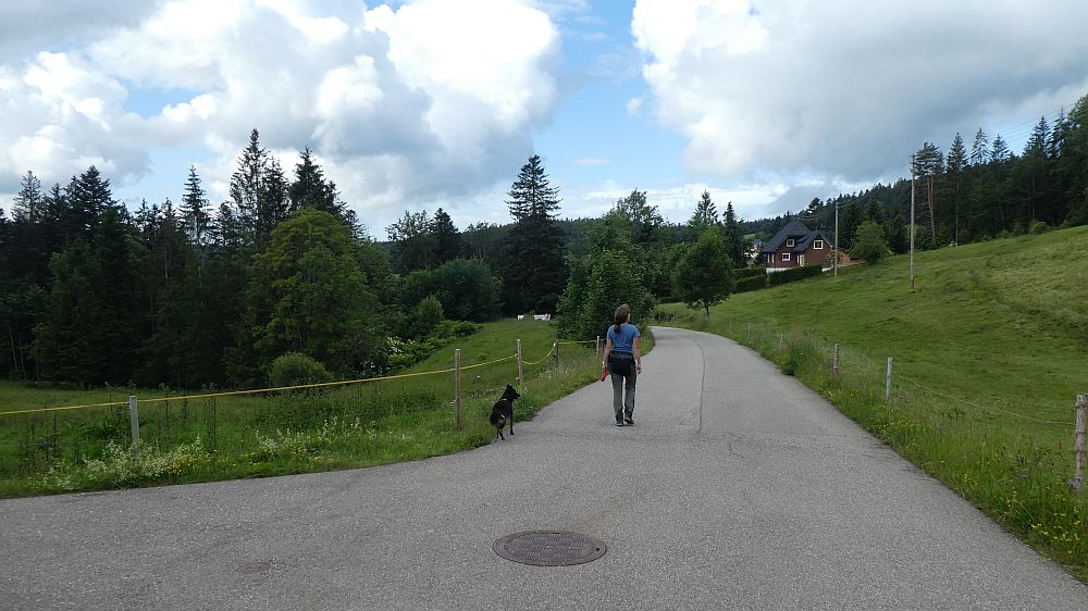 schluchtensteig