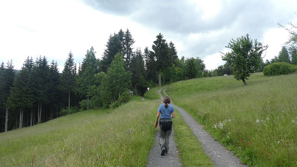 schluchtensteig