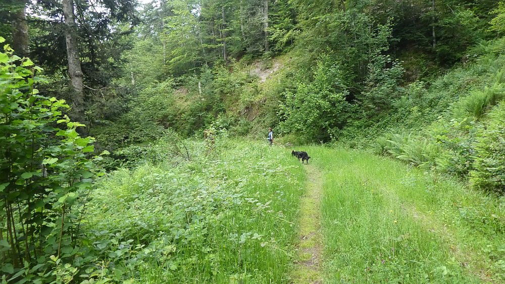 schluchtensteig