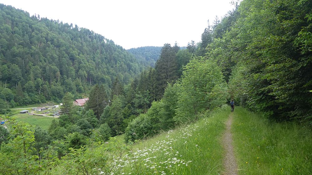 schluchtensteig