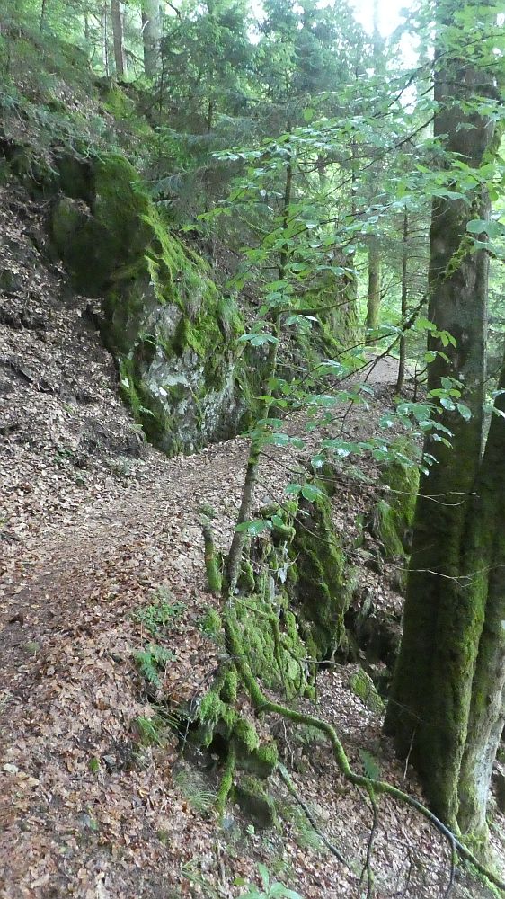 schluchtensteig