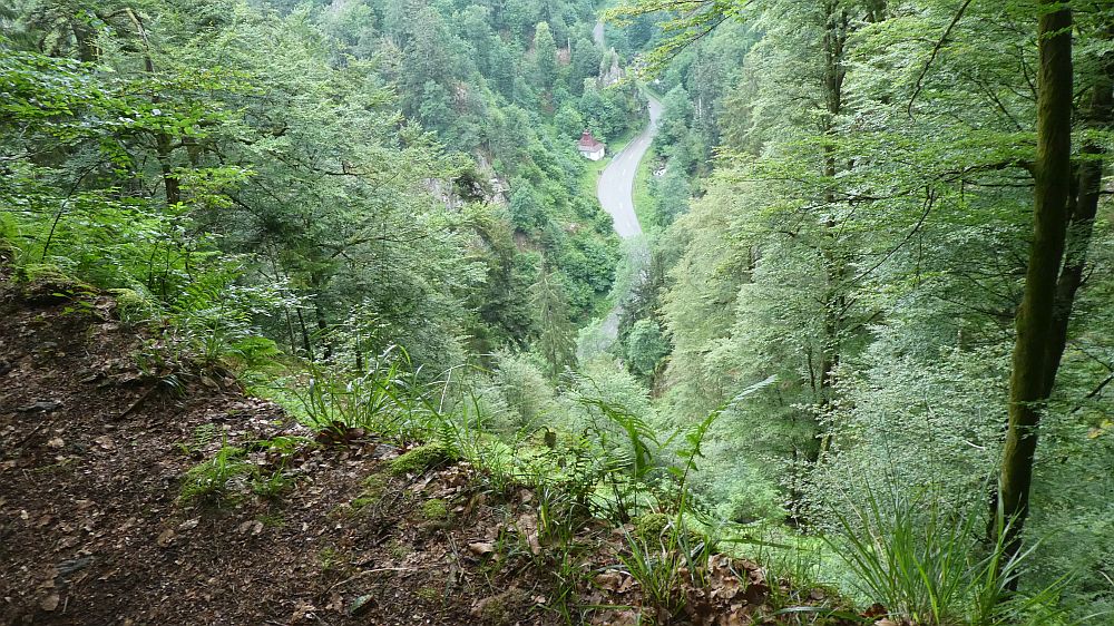 schluchtensteig