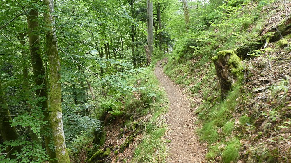 schluchtensteig