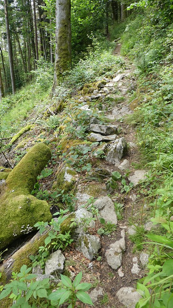 schluchtensteig