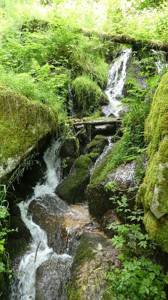 schluchtensteig
