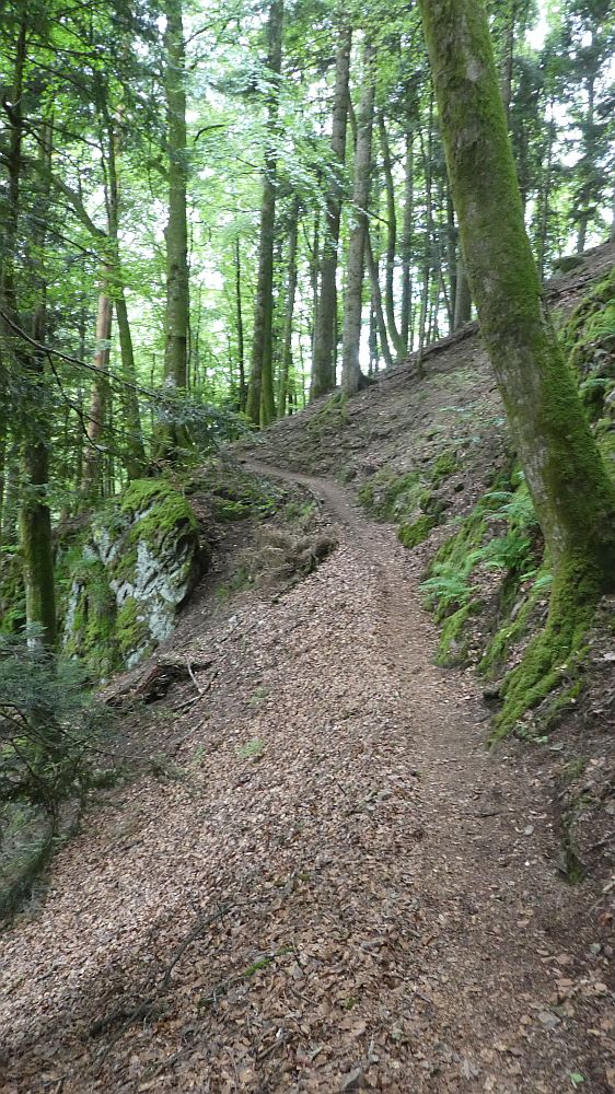 schluchtensteig