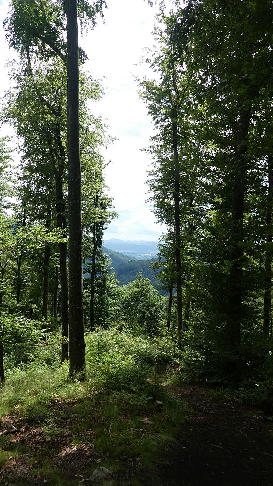 schluchtensteig