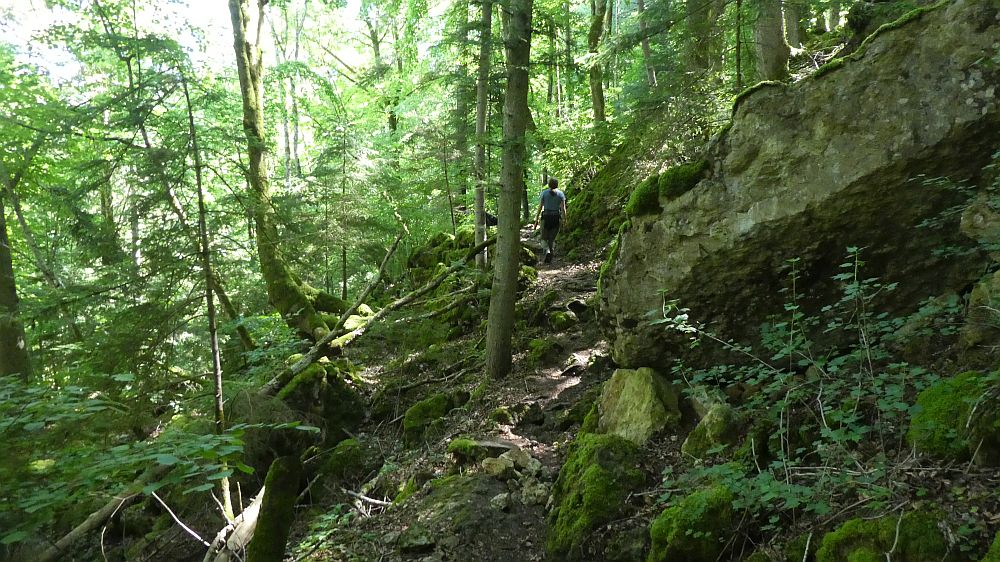 schluchtensteig