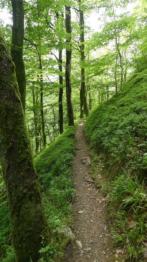 schluchtensteig