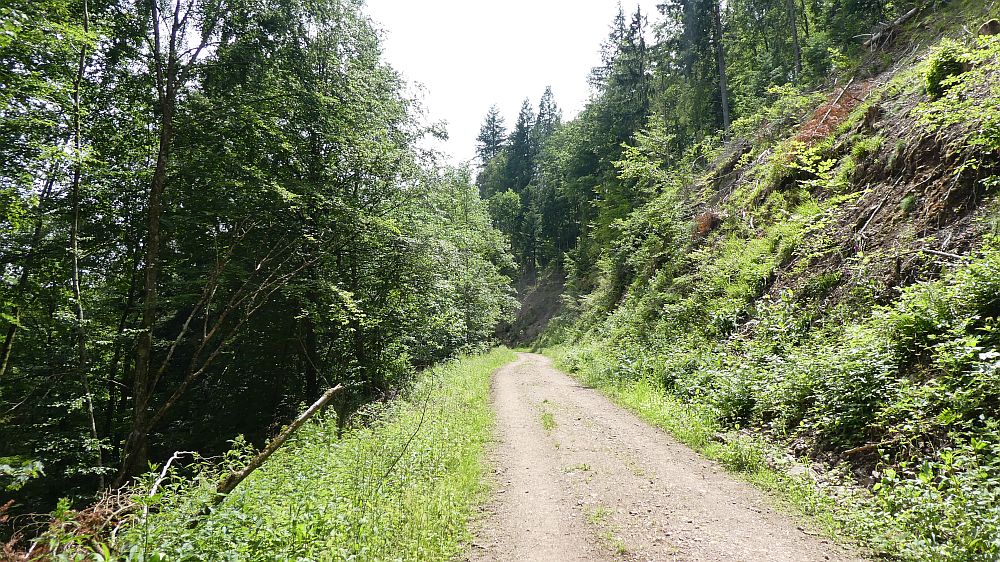 schluchtensteig