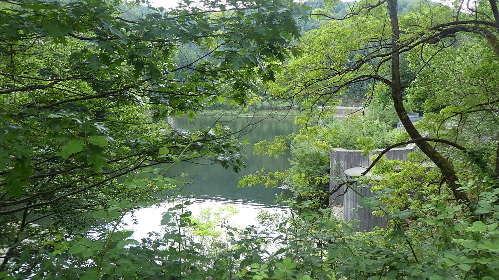 schluchtensteig