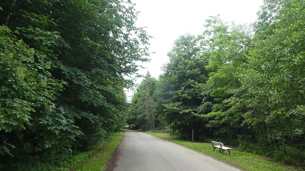 schluchtensteig