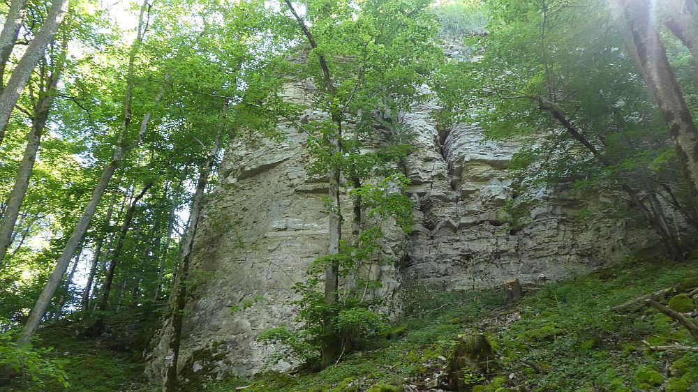 schluchtensteig