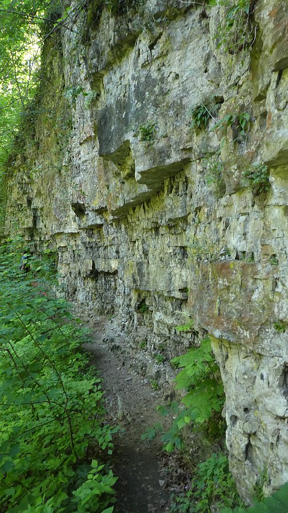 schluchtensteig
