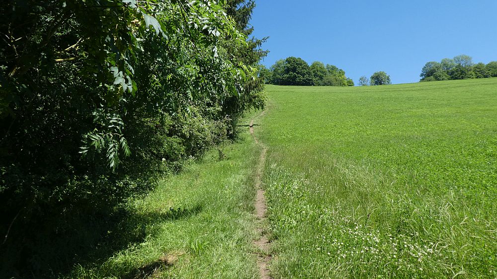 schluchtensteig