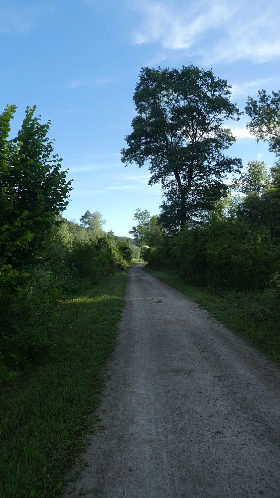 schluchtensteig