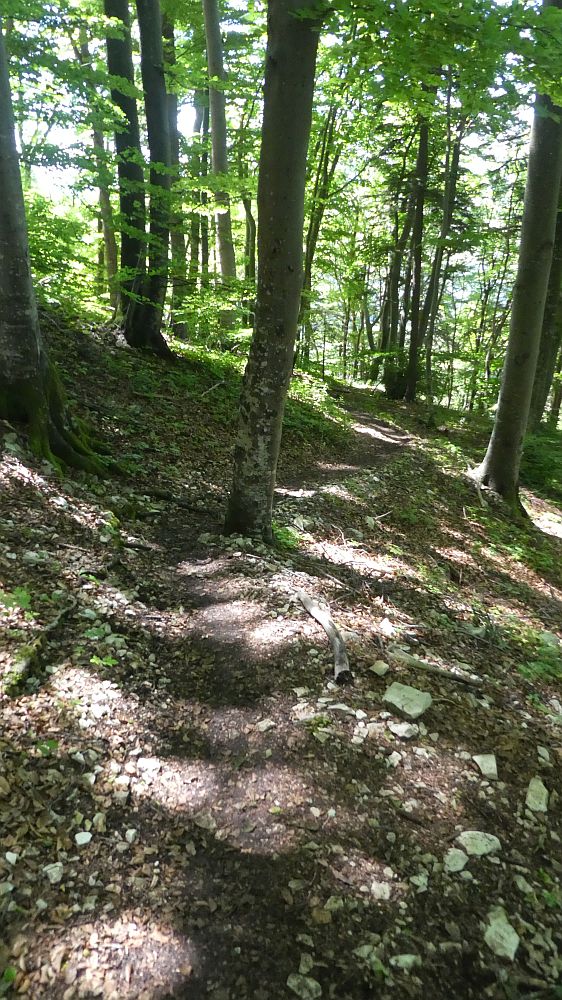 schluchtensteig
