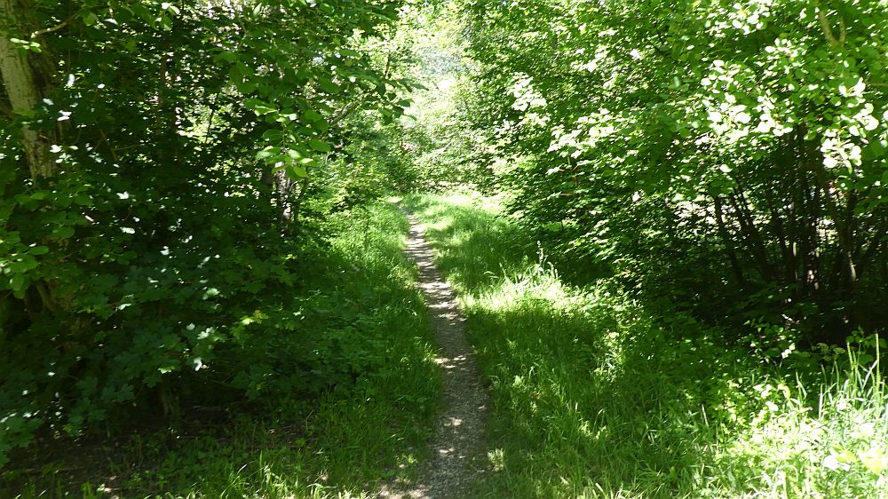 schluchtensteig