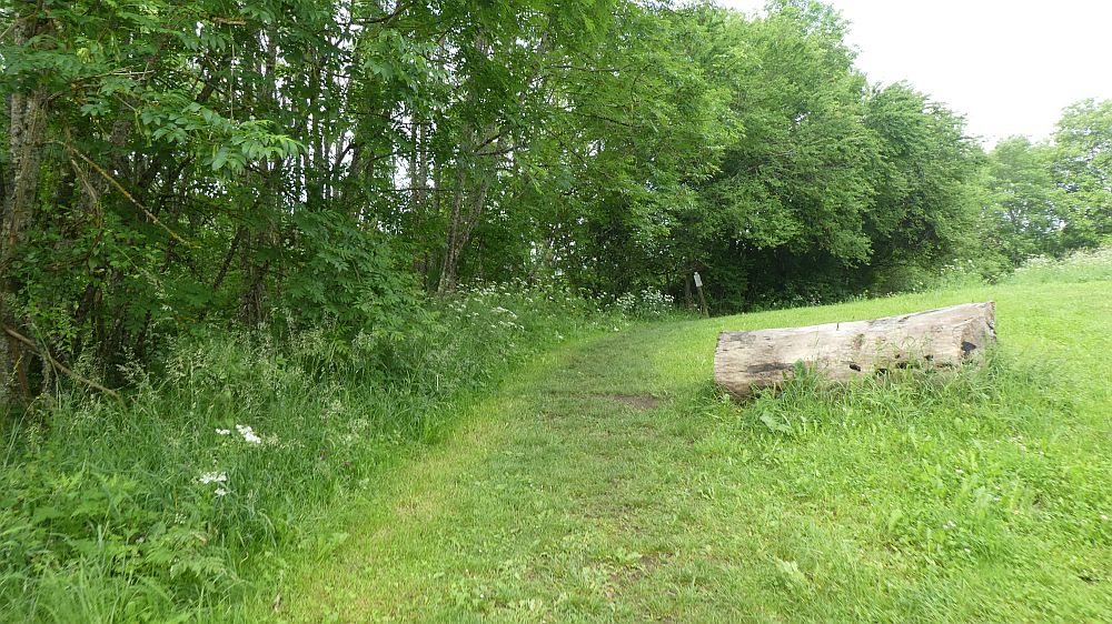 schluchtensteig