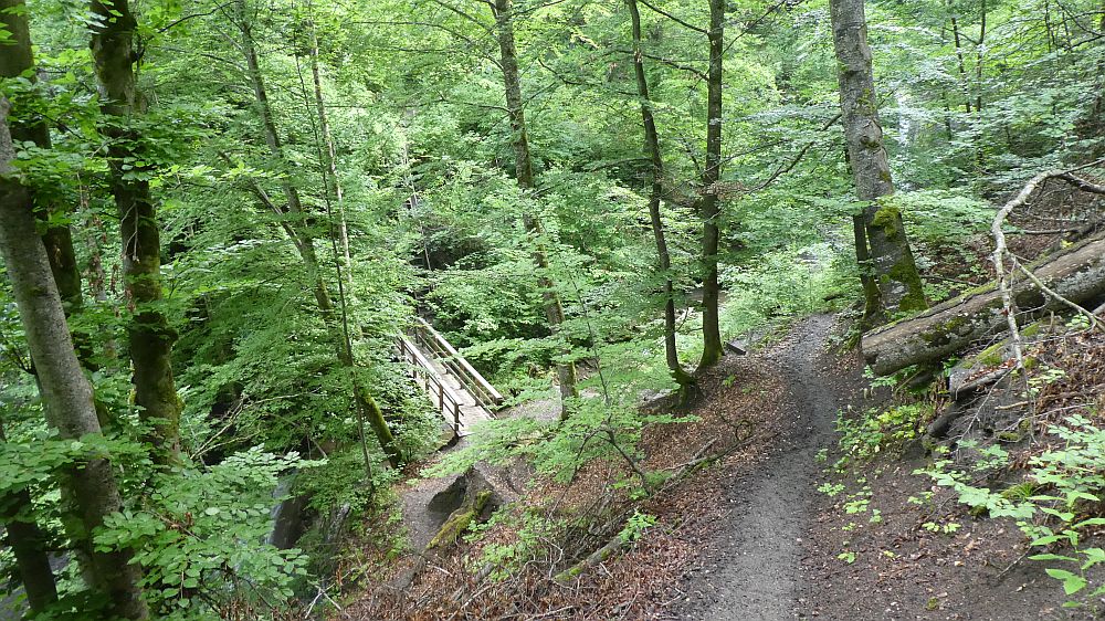 schluchtensteig