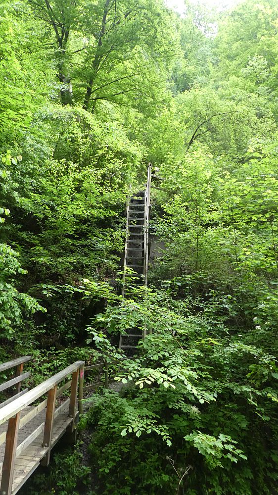 schluchtensteig