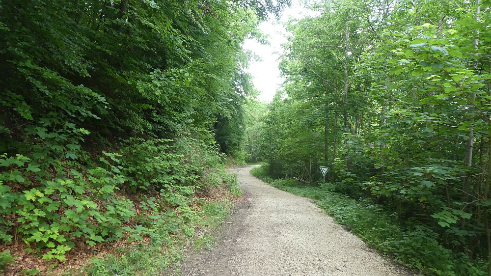 schluchtensteig