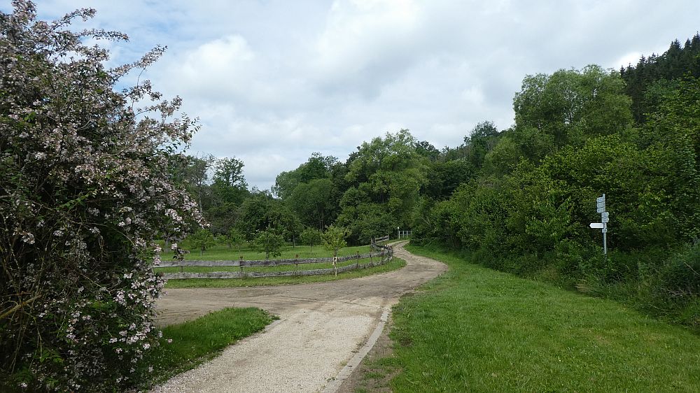 schluchtensteig