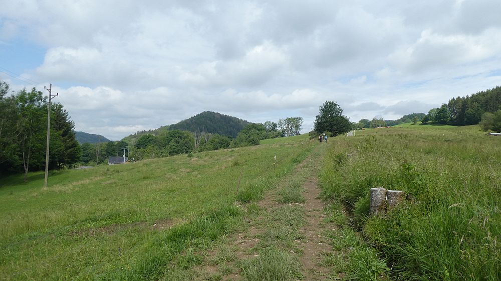 schluchtensteig
