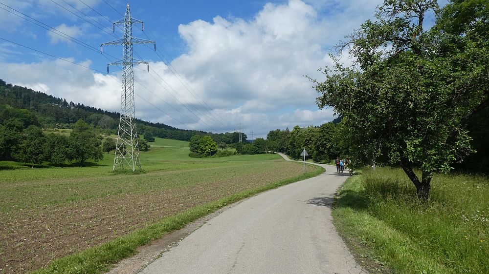 schluchtensteig