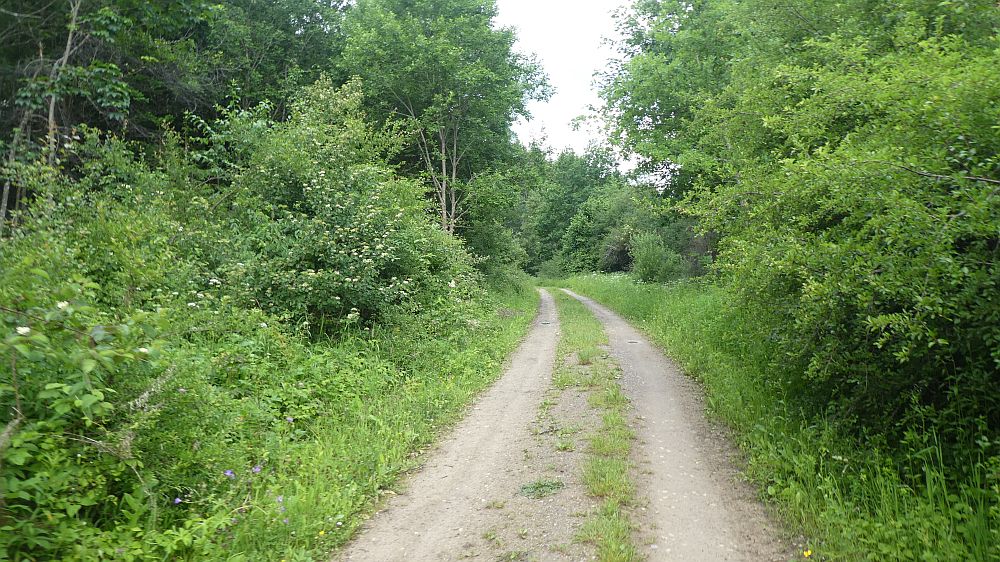 schluchtensteig