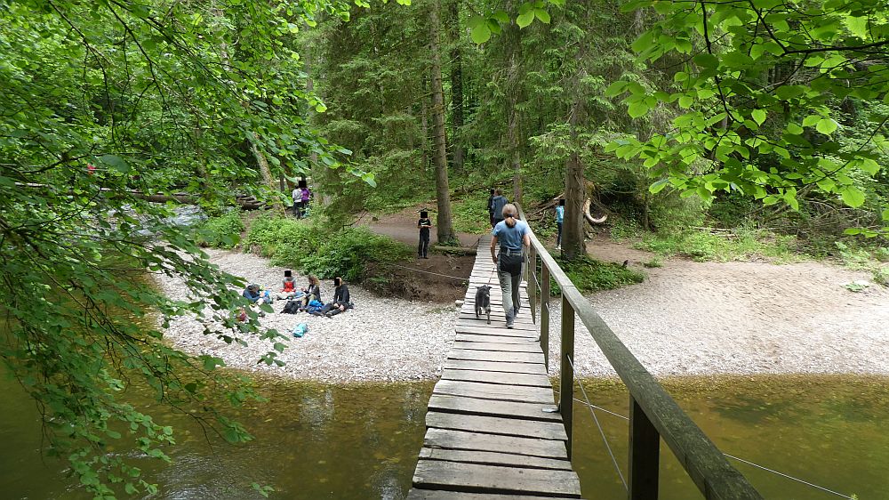 schluchtensteig