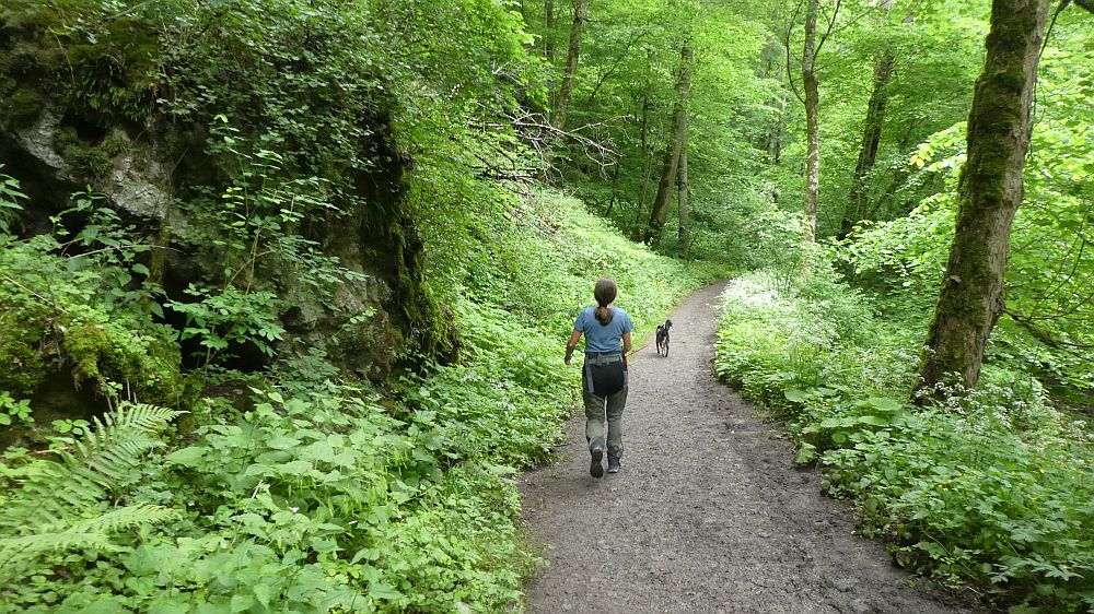 schluchtensteig
