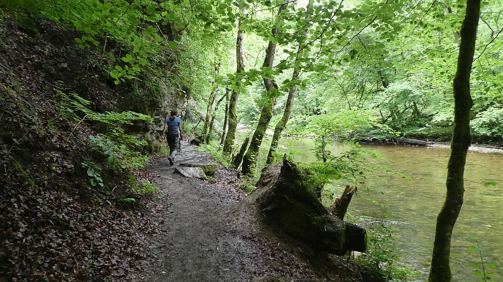 schluchtensteig