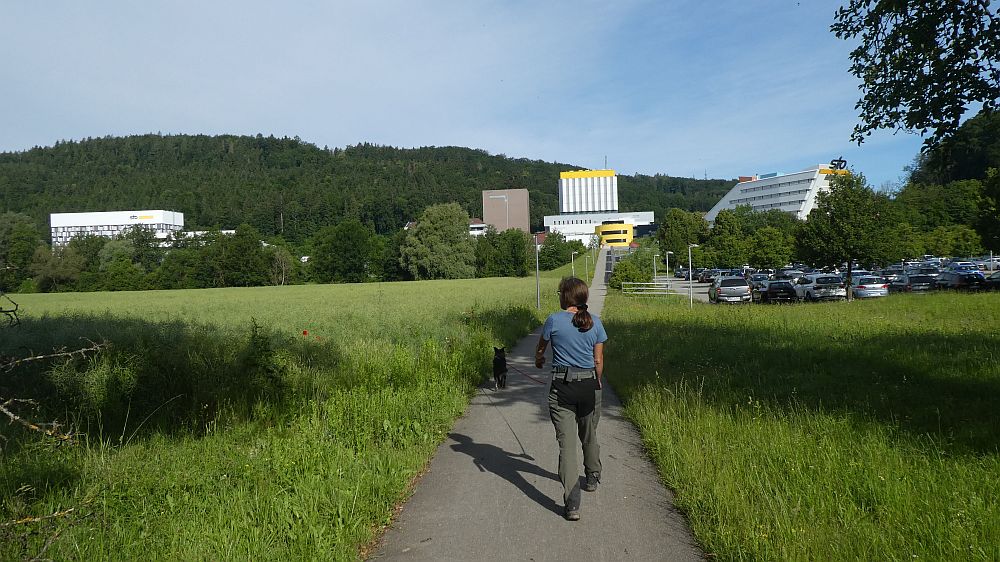 schluchtensteig