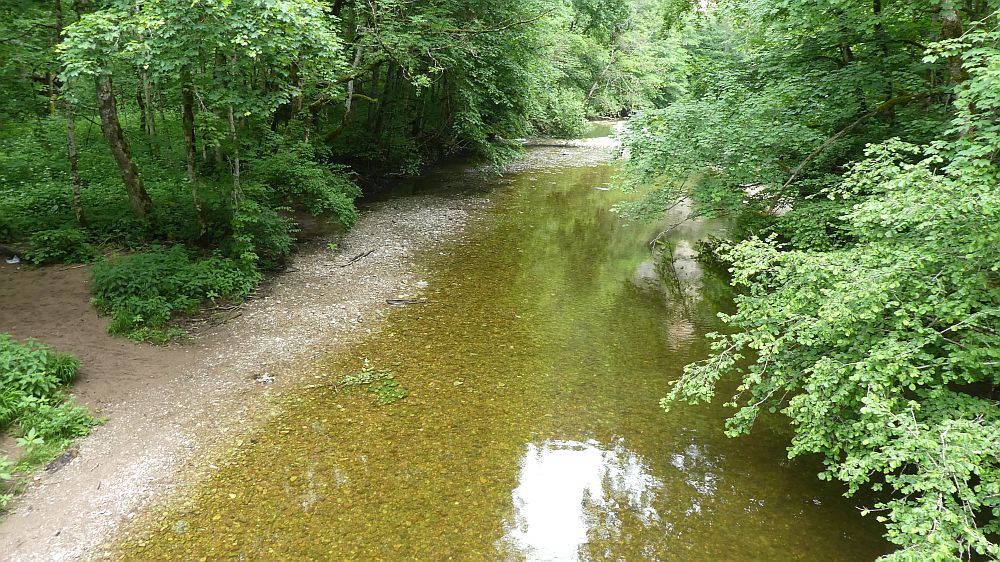 schluchtensteig