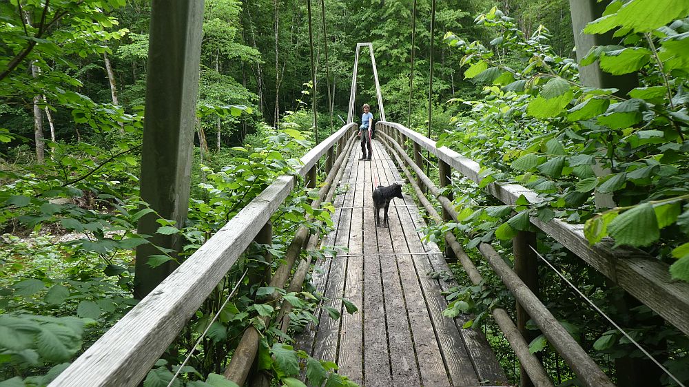 schluchtensteig