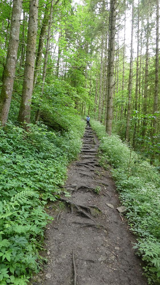 schluchtensteig