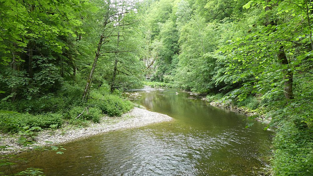 schluchtensteig