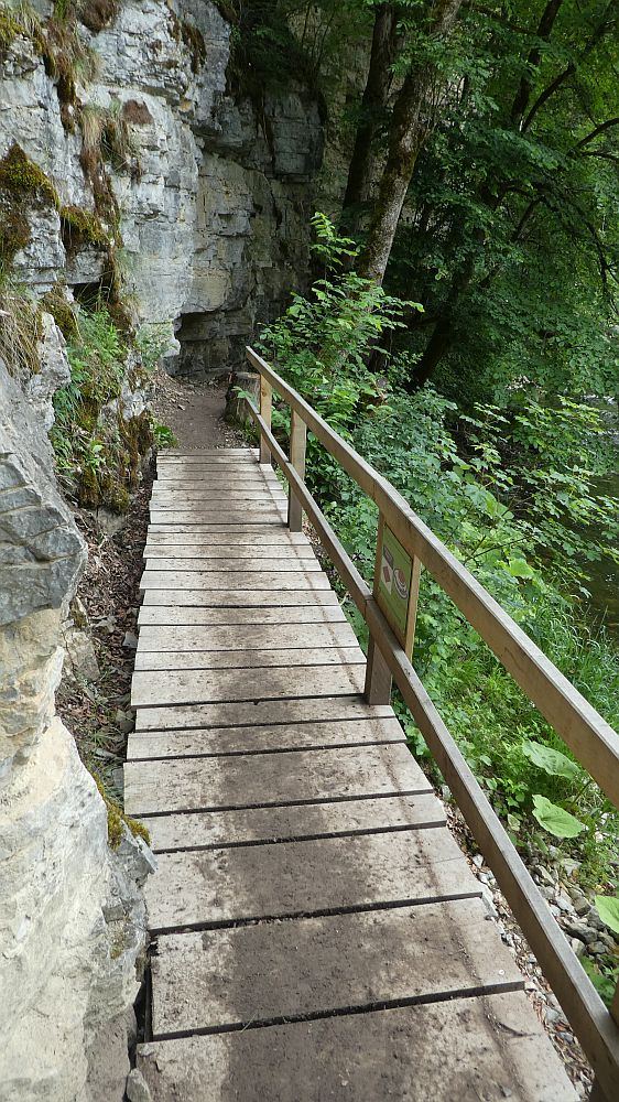 schluchtensteig