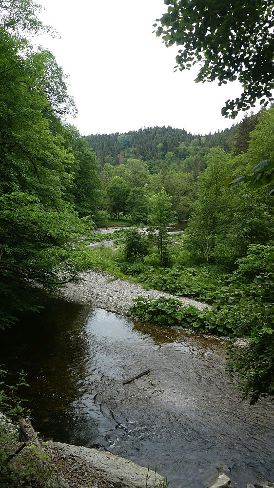 schluchtensteig