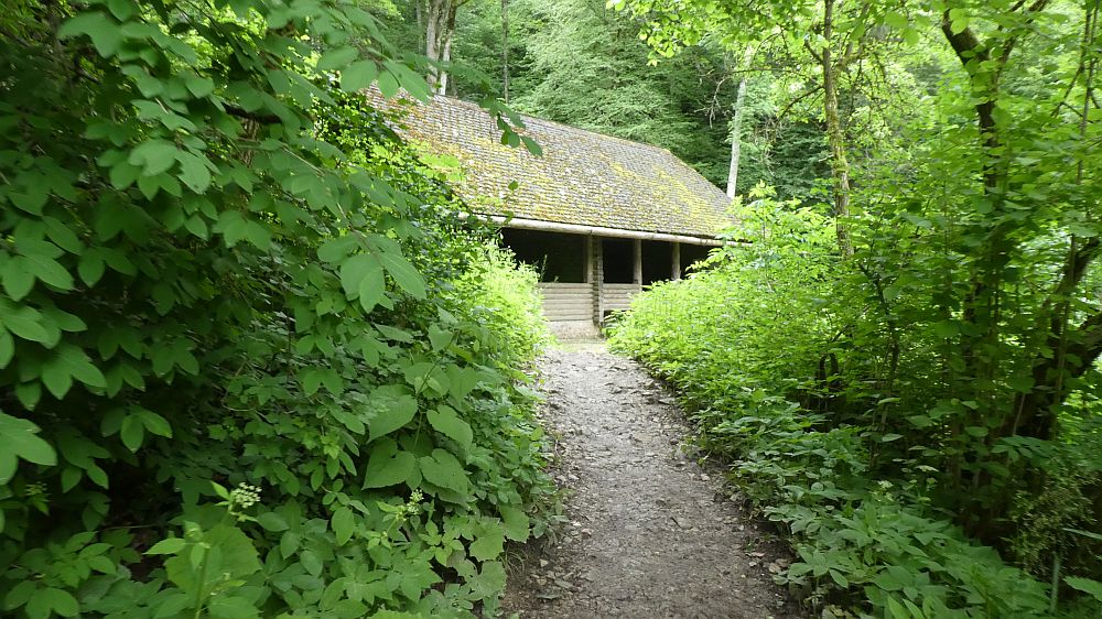 schluchtensteig