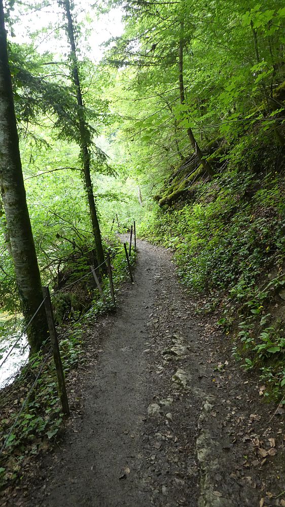 schluchtensteig
