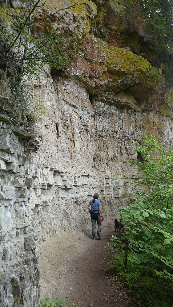 schluchtensteig