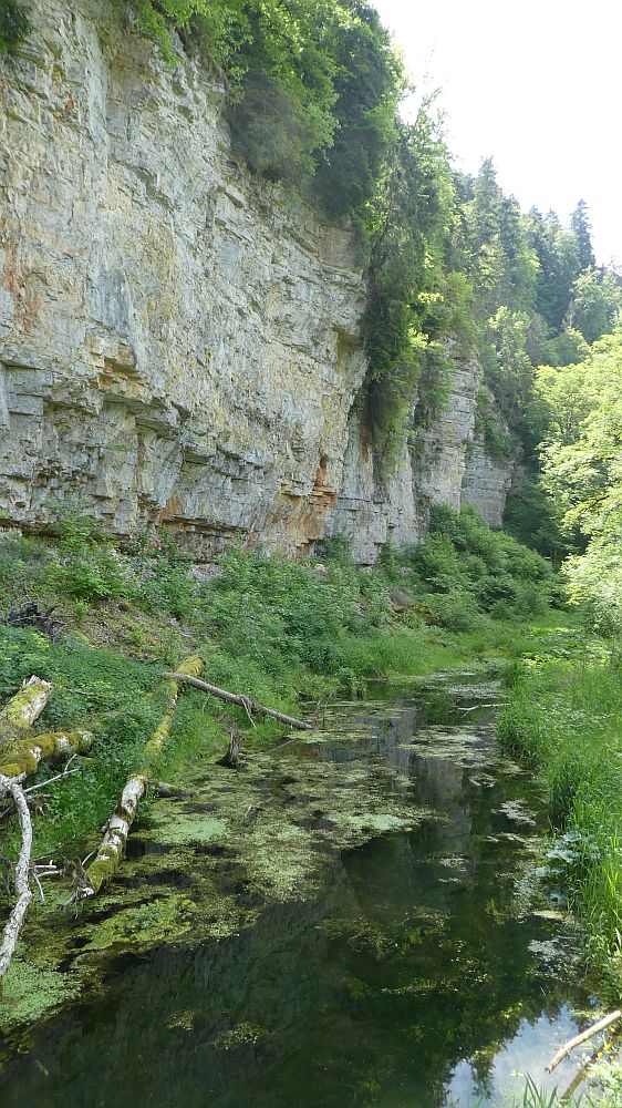 schluchtensteig